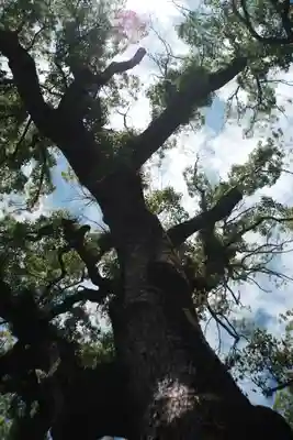 伊弉諾神宮(兵庫県)
