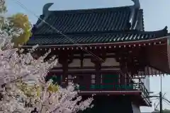 四天王寺(大阪府)