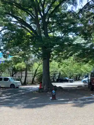 平塚八幡宮(神奈川県)