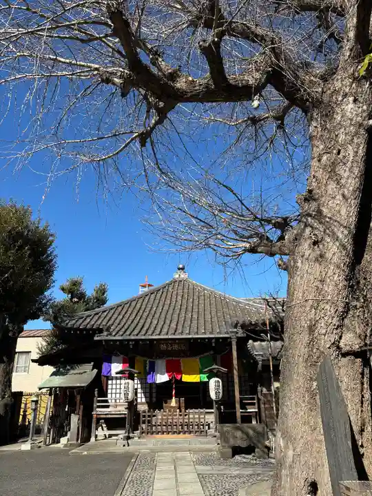 橋場寺不動院(橋場不動尊)(東京都)
