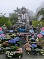南法華寺(壷阪寺)(奈良県)