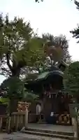 小野照崎神社の本殿・本堂