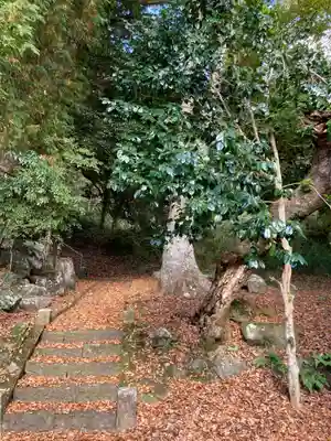 徳神社のその他建物