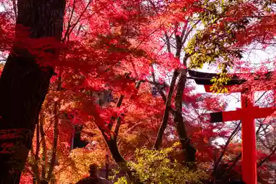 宇治上神社(京都府)