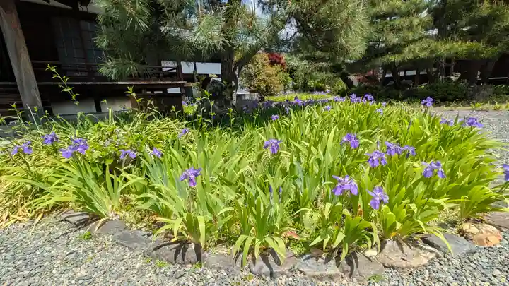 得浄明院(善光寺別院)(京都府)