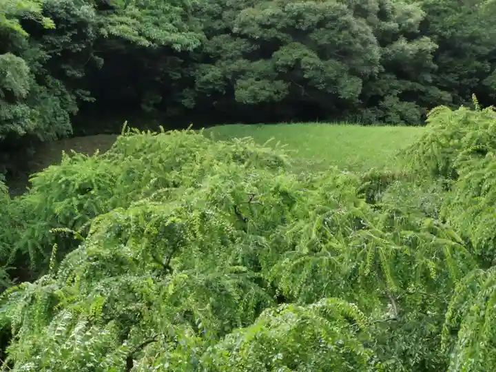龍尾神社(静岡県)