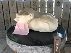 北野天満神社の狛犬