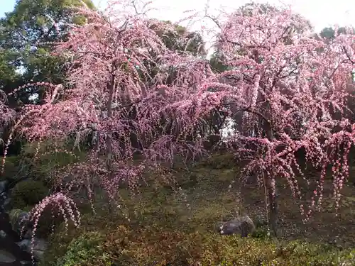 城南宮の庭園