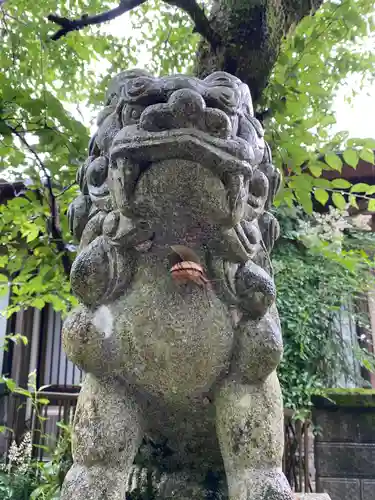 須佐神社の狛犬