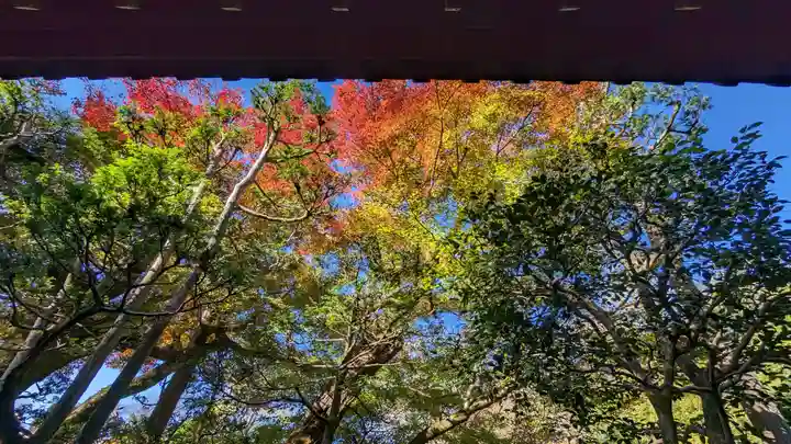 法然院(京都府)