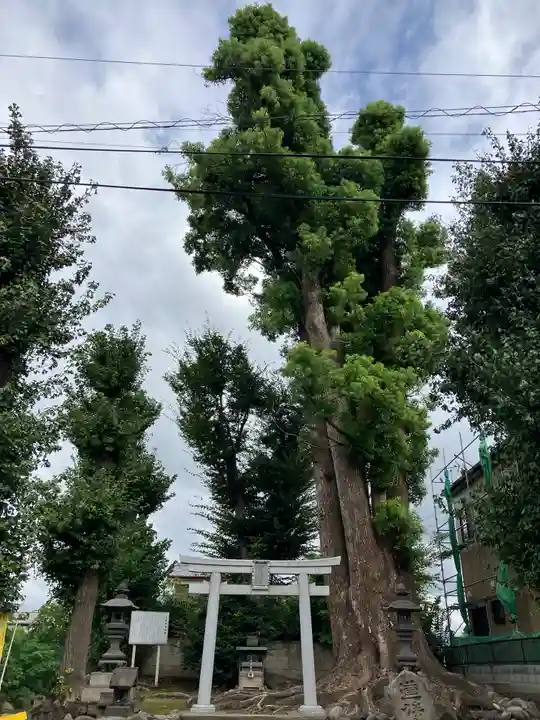 上野総社神社(群馬県)