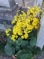 沙沙貴神社の自然