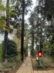 廣幡八幡宮(千葉県)