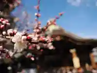 湯島天満宮(東京都)