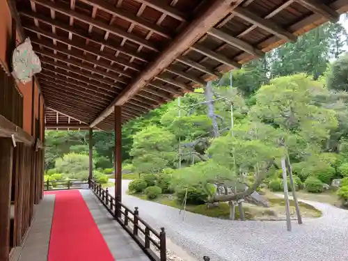 曼殊院門跡の庭園