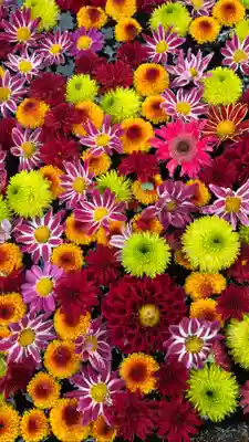 大鏑神社(福島県)