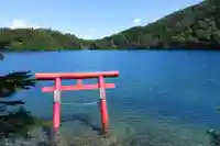 大蛇神社の鳥居