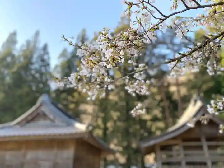 熊野神社(長野県)