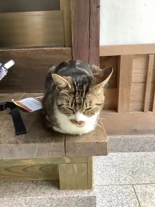 玉野御嶽神社の動物