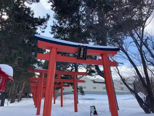 札幌伏見稲荷神社の鳥居