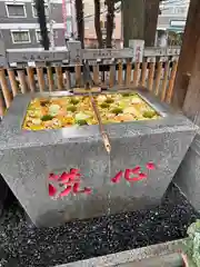 高円寺氷川神社(東京都)