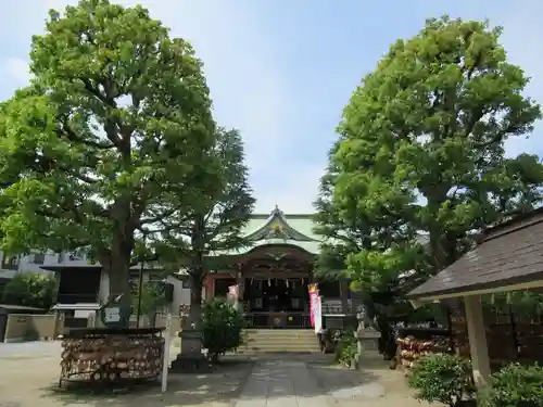 今戸神社の本殿・本堂
