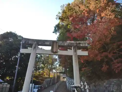 朝護孫子寺の鳥居