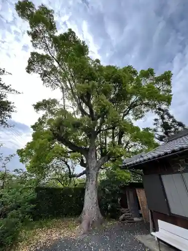 光三寶荒神社(和歌山県)