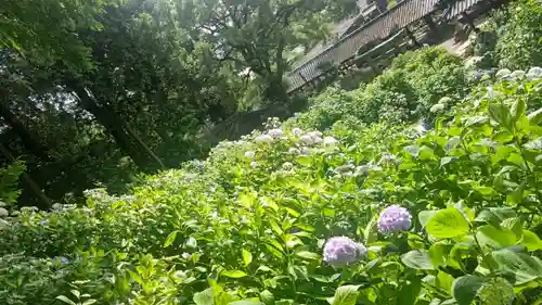 吉備津神社の自然