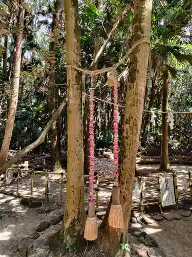 青島神社（青島神宮）の自然