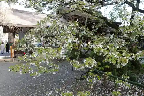 平野神社のその他建物