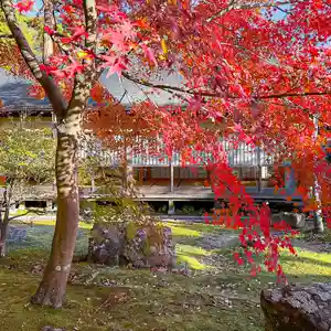 伊勢の国 四天王寺(三重県)(2024年11月28日(木) 10時51分40秒投稿)