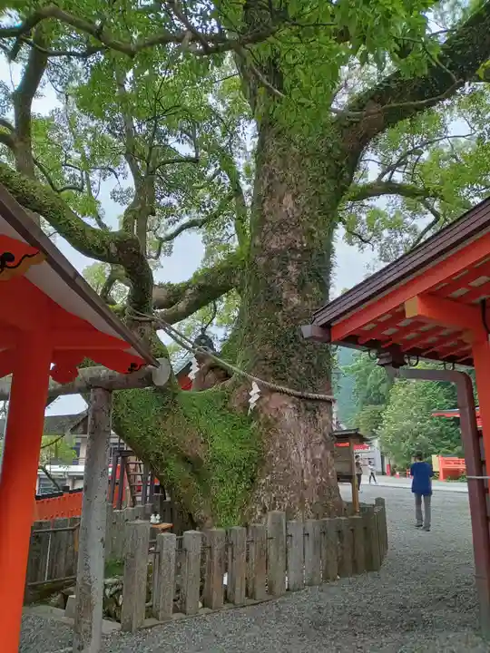 熊野那智大社(和歌山県)