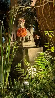 五十稲荷神社(栄寿稲荷神社)の狛犬