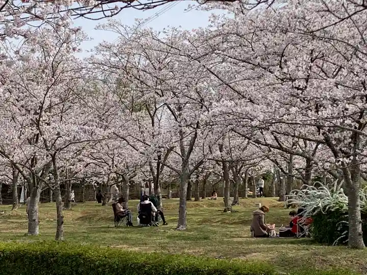 草谷天神社の自然