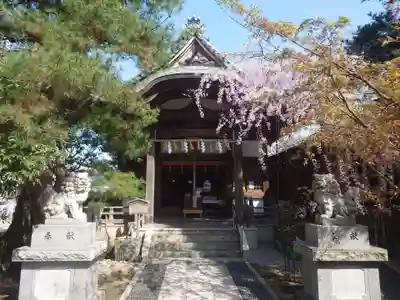 火産霊神社(新潟県)