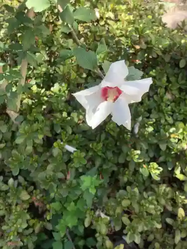 三輪神社の自然