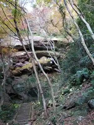 御橋観音寺の自然