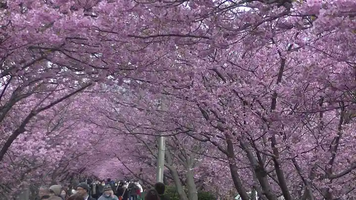 かっぱの寺 栖足寺の自然