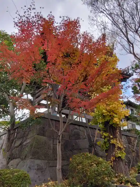 養玉院如来寺(東京都)
