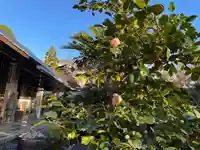 伊勢の国 四天王寺(三重県)