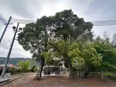 大原神社(京都府)