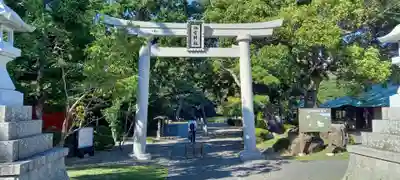 桜ヶ池池宮神社の鳥居