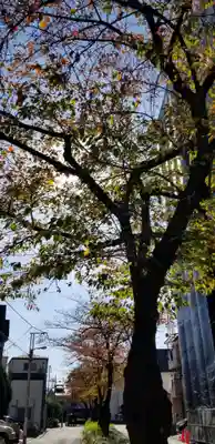 蒲原神社の自然