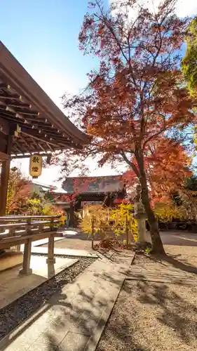 梨木神社(京都府)