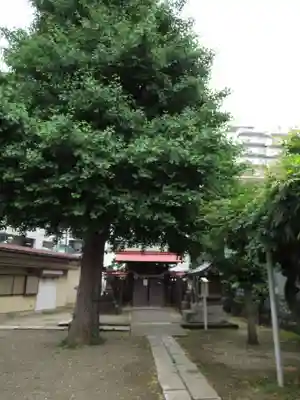 粕壁神明社(埼玉県)