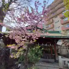 小野照崎神社の自然