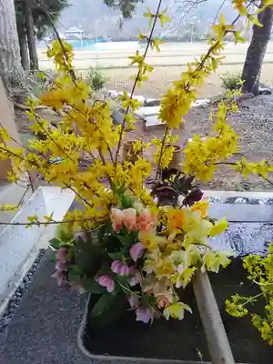 高司神社〜むすびの神の鎮まる社〜の手水舎