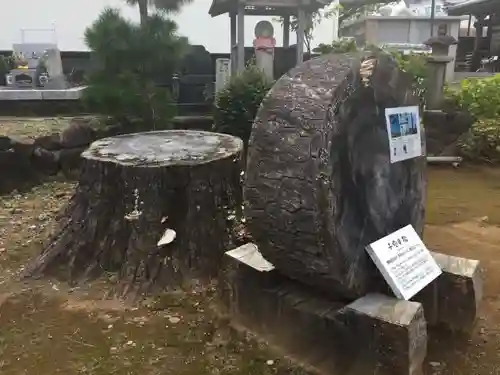 誓欣院の建物その他