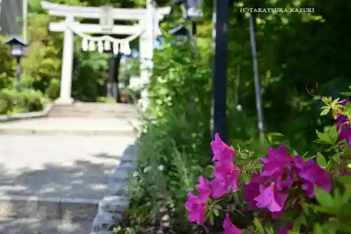 星川杉山神社(神奈川県)